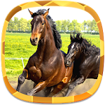 Horse Wallpapers Apk