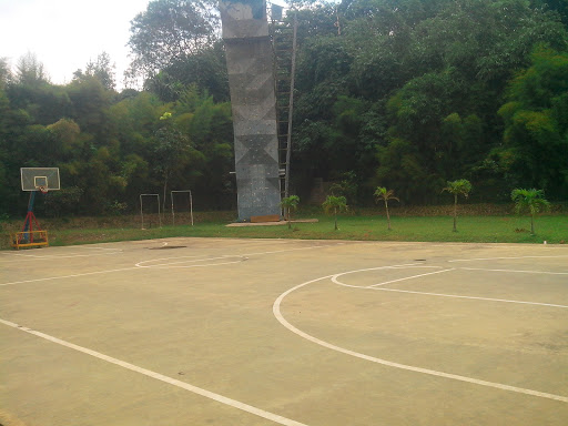 Basketball Field 