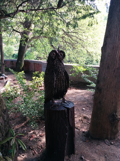 Botanical Garden Owl Statue