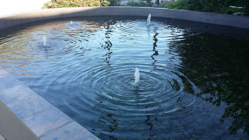 Fountain At Hilton 