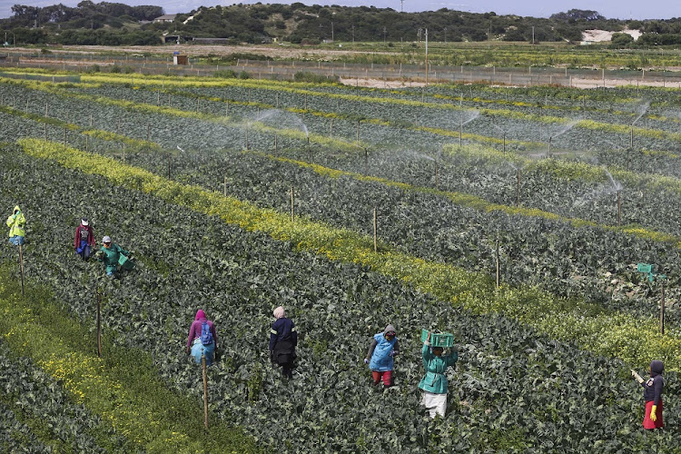 File photo of people working on a farm.