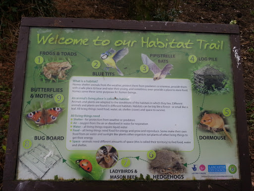 Habitat Trail Information Board
