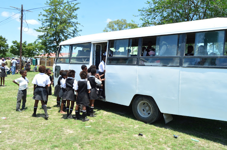 Mpongo Primary School pupils getting into one of the scholar transport buses which is cancelled in Macleantown.