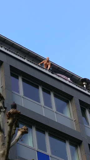 Spiderman auf dem Dach