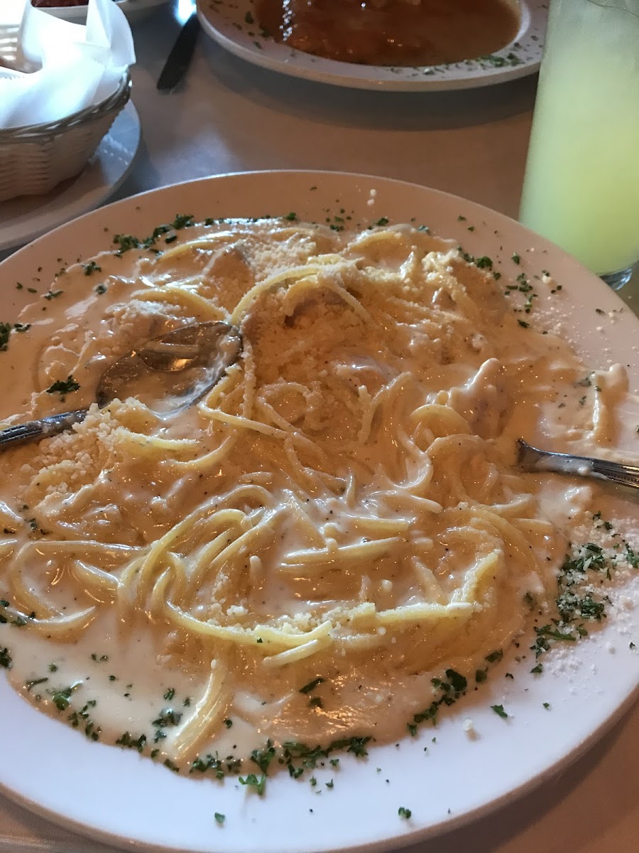 Chicken alfredo