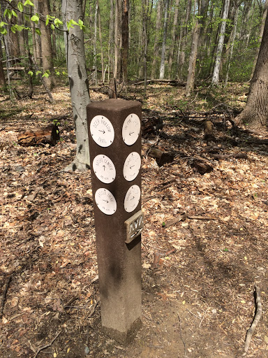 Pine Lake Trail Post