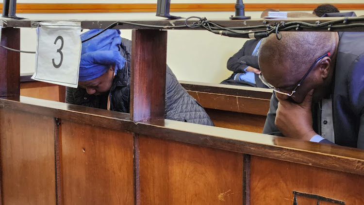 Former SAA board chair Dudu Myeni and Sondolo IT director Trevor Mathenjwa appeared in the Richards Bay magistrate's court after their arrest last Friday.