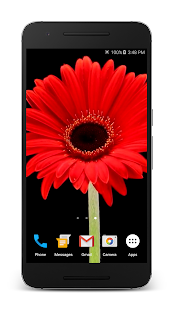 How to get Blooming Flowers patch 1.0 apk for android
