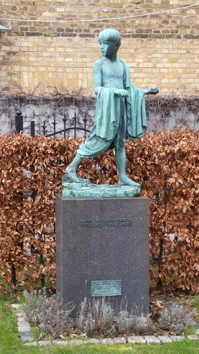 Boy with young birds