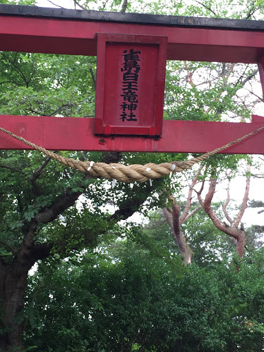 雀島白王竜神社