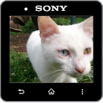 Media Viewer for Informer Pro Apk