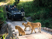 Picture Credit: Krugerpark.com
