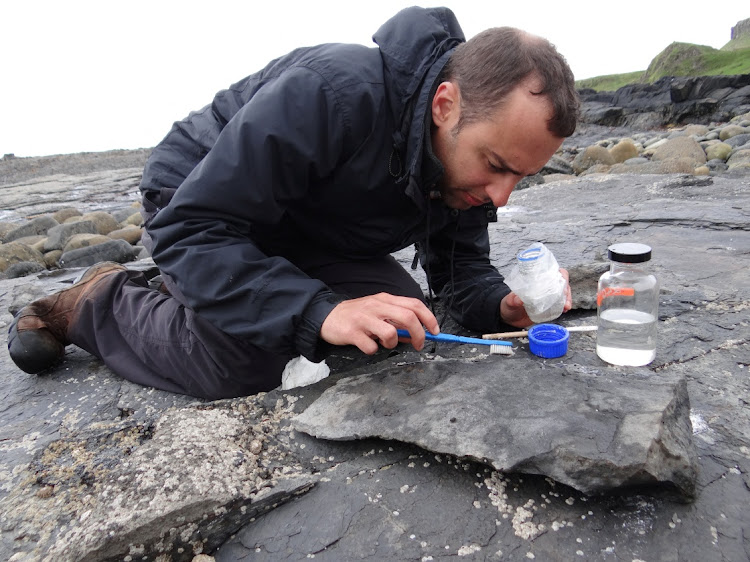 University of Edinburgh paleontologist Steve Brusatte works to conserve part of the fossil of a newly identified Jurassic Period flying reptile, or pterosaur, called 'Dearc sgiathanach', found on a rocky beach at Scotland's Isle of Skye. Britain in this handout image from May 2017.