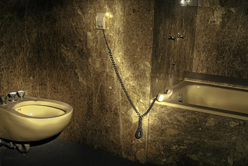 An image of the bathroom (present day) at the abandoned Carlton Hotel