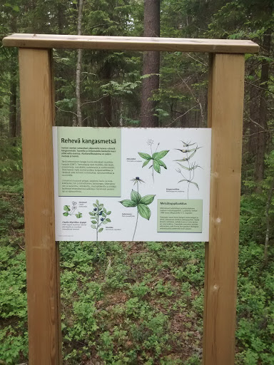 Rehevä Kangasmetsä