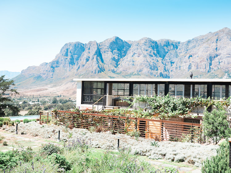 Take in the valley views from De Zeven Guest Lodge in the Banhoek.