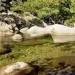 Surprizing transparent brook Apk