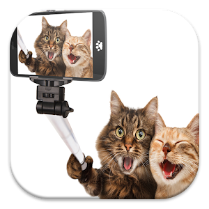Funny Cat Live Wallpapers.apk 1.0