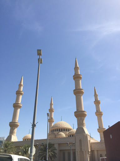 Shaik Mohamed Bin Zaid Mosque