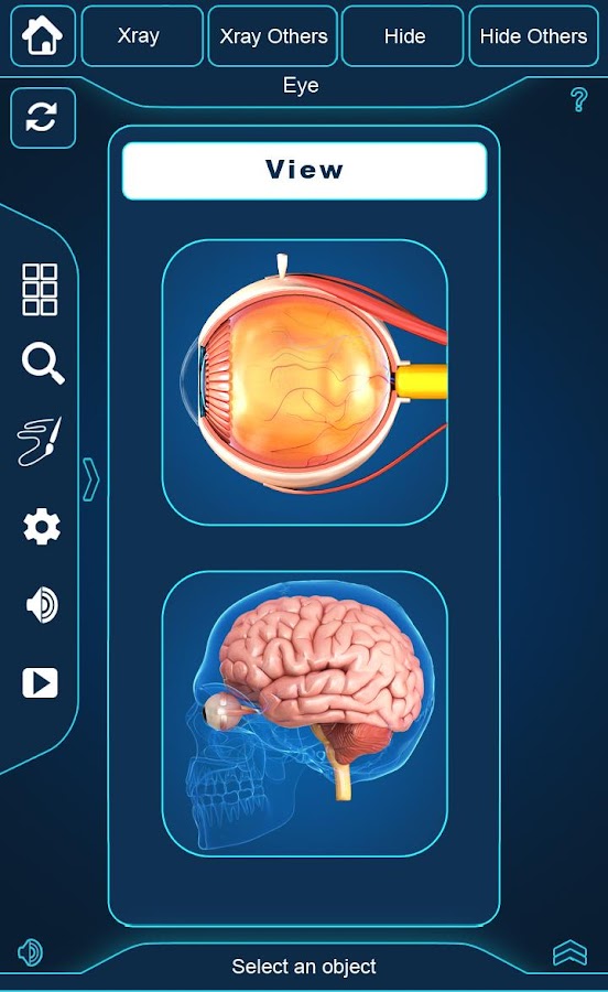 My Eye Anatomy — приложение на Android