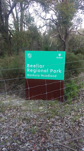 Banksia Woodland - Beeliar Regional Park
