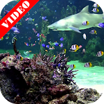 Video Wallpaper: Aquarium Apk
