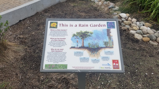 North Olmsted park Rain Garden