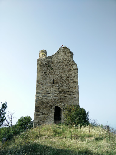 Antica torre, Torriana
