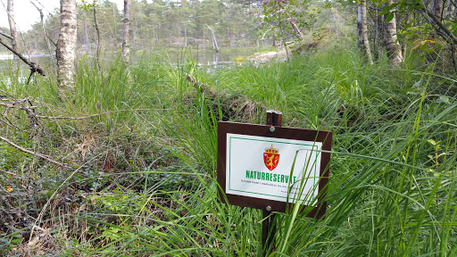 Naturreservat Fuglen