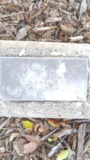 Euonymous Plaque