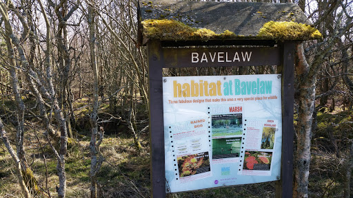 Habitat at Bavelaw