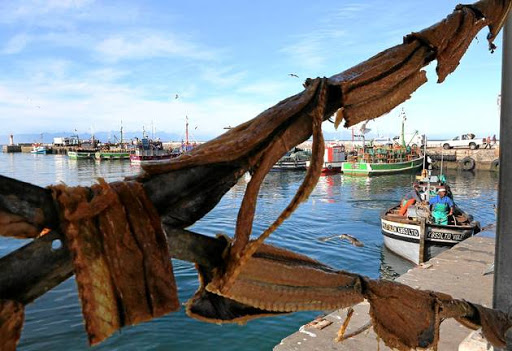 CAPE SPECIAL: Snoek hangs to dry at Kalk Bay harbour in Cape Town.