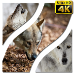 Wallpapers Wolf 4K UHD Apk