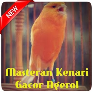Download Masteran Kenari Gacor Ngerol Lengkap Offline For PC Windows and Mac