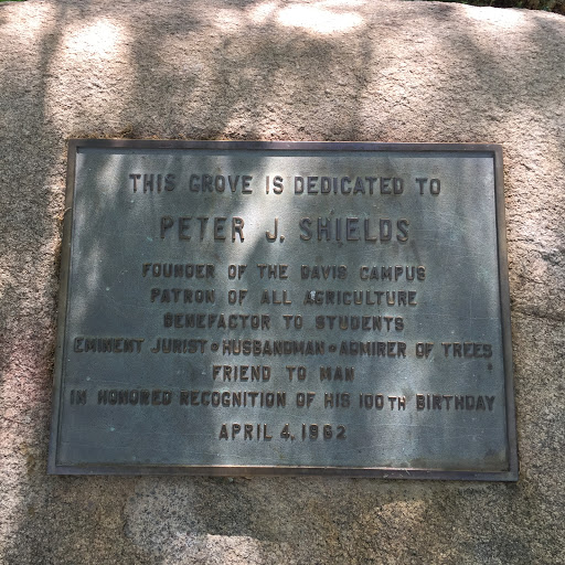 THIS GROVE IS DEDICATED TO PETER J. SHIELDS FOUNDER OF THE DAVIS CAMPUS PATRON OF ALL AGRICULTURE BENEFACTOR TO STUDENTS EMINENT JURIST HUSBANDMAN ADMIRER OF TREES FRIEND TO MAN IN HONORED...