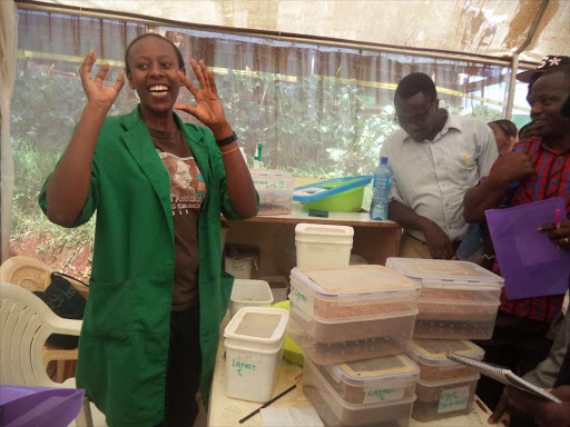 Diana Makena explains to farmers about how beetles are bred.