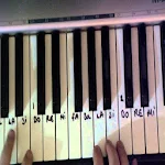 Play Organ Musical Instrument Apk