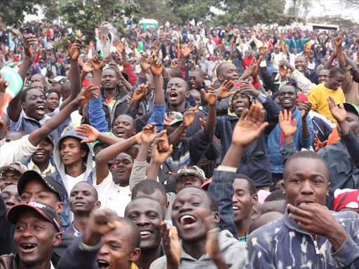 EXCITED: The crowd that turned up at Uhuru Park in Nairobi to witness the promulgation of the new constitution in 2010.