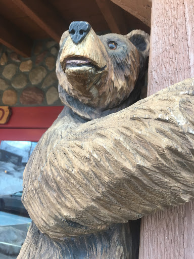 Montana's Bear