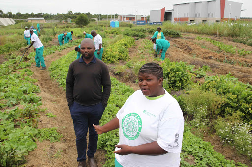 HEALTHY DIET: Zisanda Nkanjeni and Ayanda Mema of ‘More food for all’ food security project are on a mission to encourage East London residents to use organic waste to grow vegetables Picture: MICHAEL PINYANA