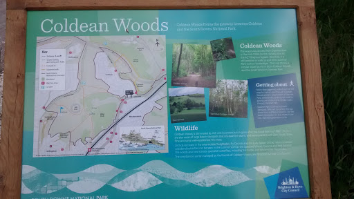Coldean Woods Information Board