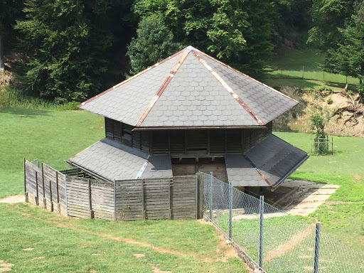 Aarau Wildpark Mufflons Haus