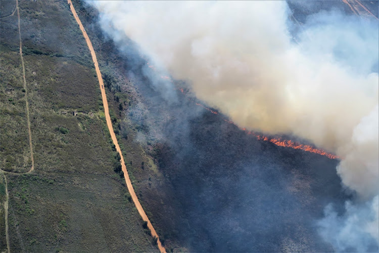 A trail of destruction was left by the wildfires that spread across the Garden Route at the end of October 2018.