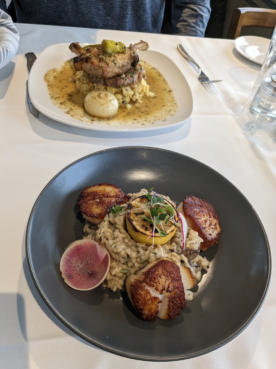 Scallops and risotto, pork chop and mashed potato
