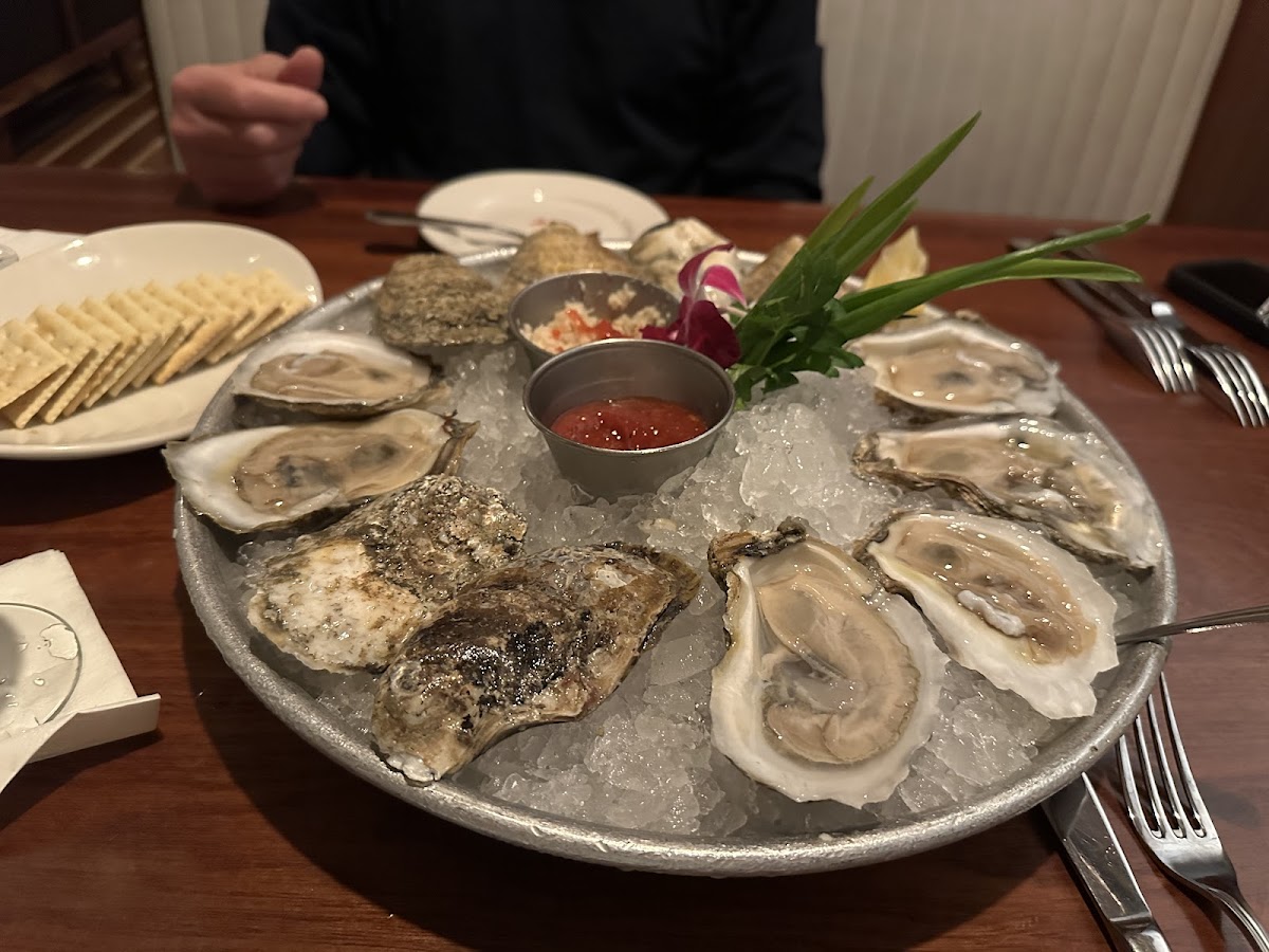 Huge fresh delicious oysters