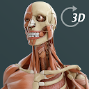 ダウンロード Visual Anatomy 3D | Human をインストールする 最新 APK ダウンローダ