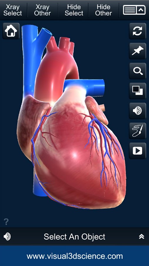 My Heart Anatomy — приложение на Android
