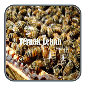Download Ternak Lebah For PC Windows and Mac
