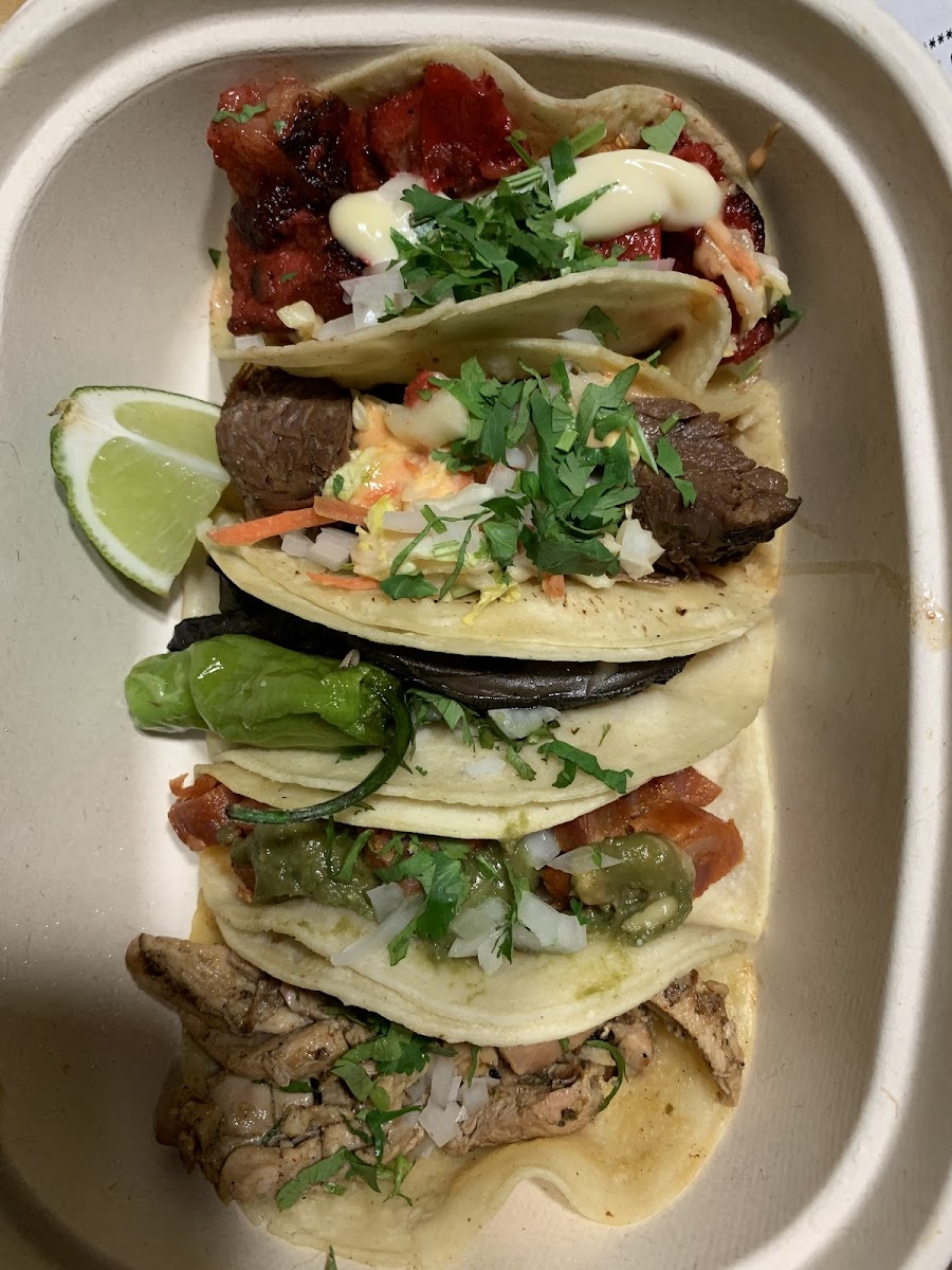 Tacos: chicken, chorizo, portobella and shisito, short rib and pork belly