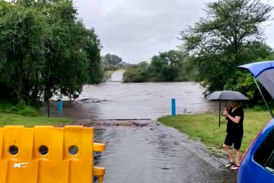 Roads have been closed in sections of the Kruger National Park due to heavy rain.